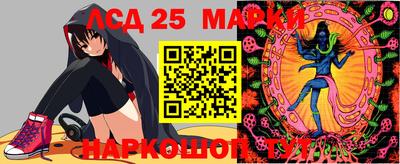 СК Будённовск